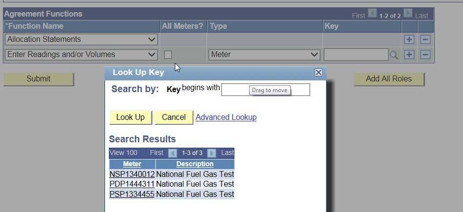 Select the magnifying glass for the Key field to generate a pop-up of all active meters for the