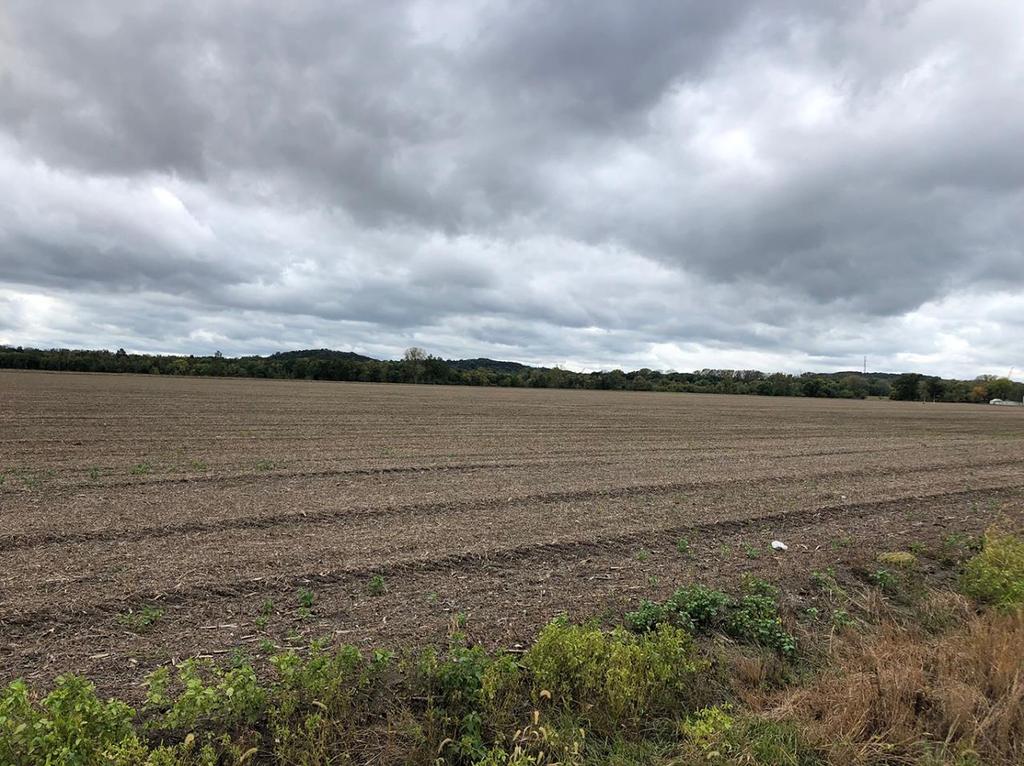 THE PROPERTY CONSISTS OF 136 +/- ACRES WITH THE PIKE COUNTY ILLINOIS FSA OFFICE CALLING FOR 132.14 ACRES OF CROP LAND.