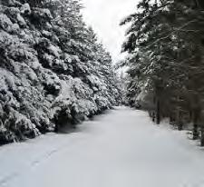 In a short drive you will find over 500 miles of snowmobile trails, the only permitted ATV trail system in the state, and ample places to ski, horseback ride, bike,