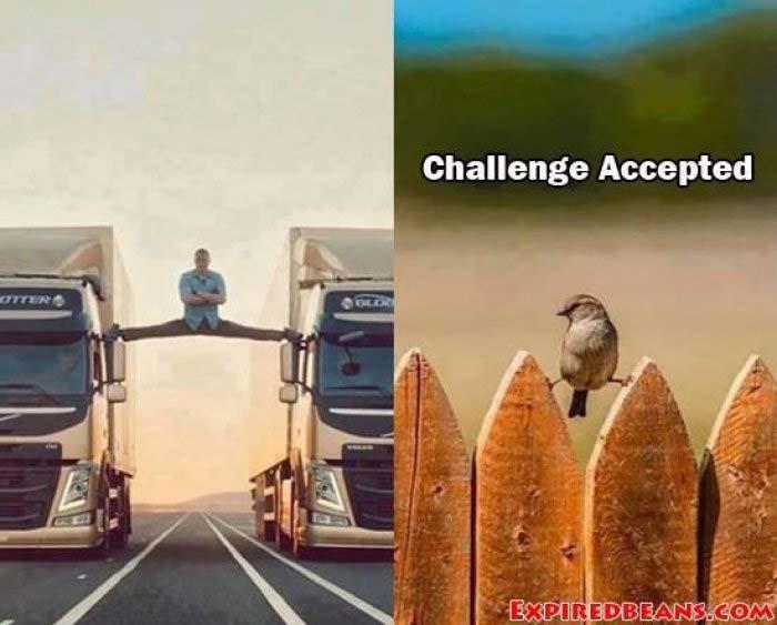 Challenge Accepted!