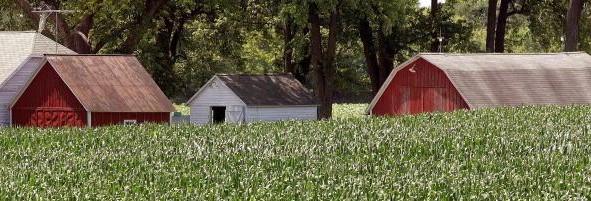 HOW TO GET STARTED To qualify for consideration for the Farmland Protection Grant, a farm owner must answer the following questions with either YES or Not Applicable : 1.