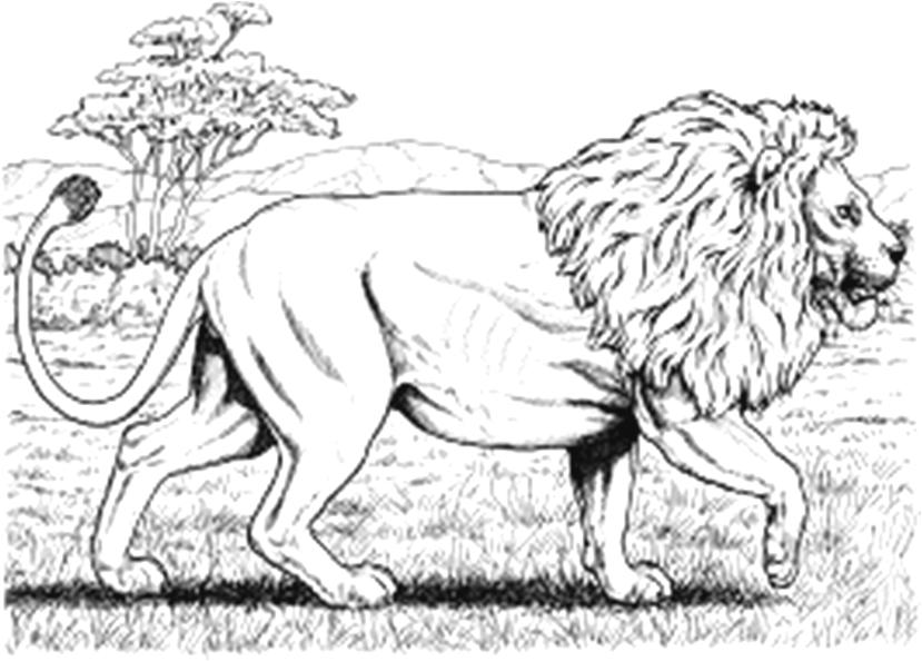 INTERNASIONALE LEEUDAG : 10 Augustus Die leeu, Panthera Leo, is een van die vier groot katte. Internasionale Leeudag word gehou om mense bewus te maak van hierdie spesie.