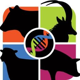 BenguFarm Bestelvorm Advanced Livestock Management Software Voorletters & Van of Besigheidsnaam: Posadres: Poskode: BTW no: Taalkeuse: BenguFarm Kliënt Nommer (indien bestaande BenguFarm kliënt): BPU