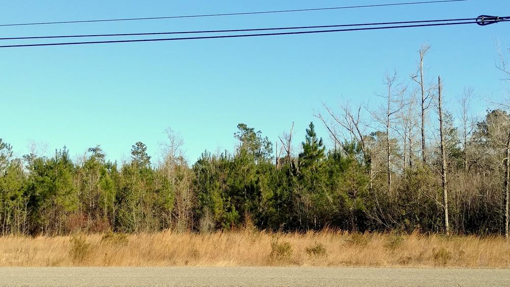 LAND FOR SALE COMMERCIAL LAND IN PEARL RIVER 66170 LA-41, Pearl River, LA 70452 KW COMMERCIAL 1522 W.