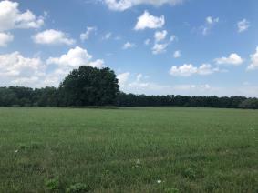 5 ACRE TRACTS LOCATED IN TWP 50,