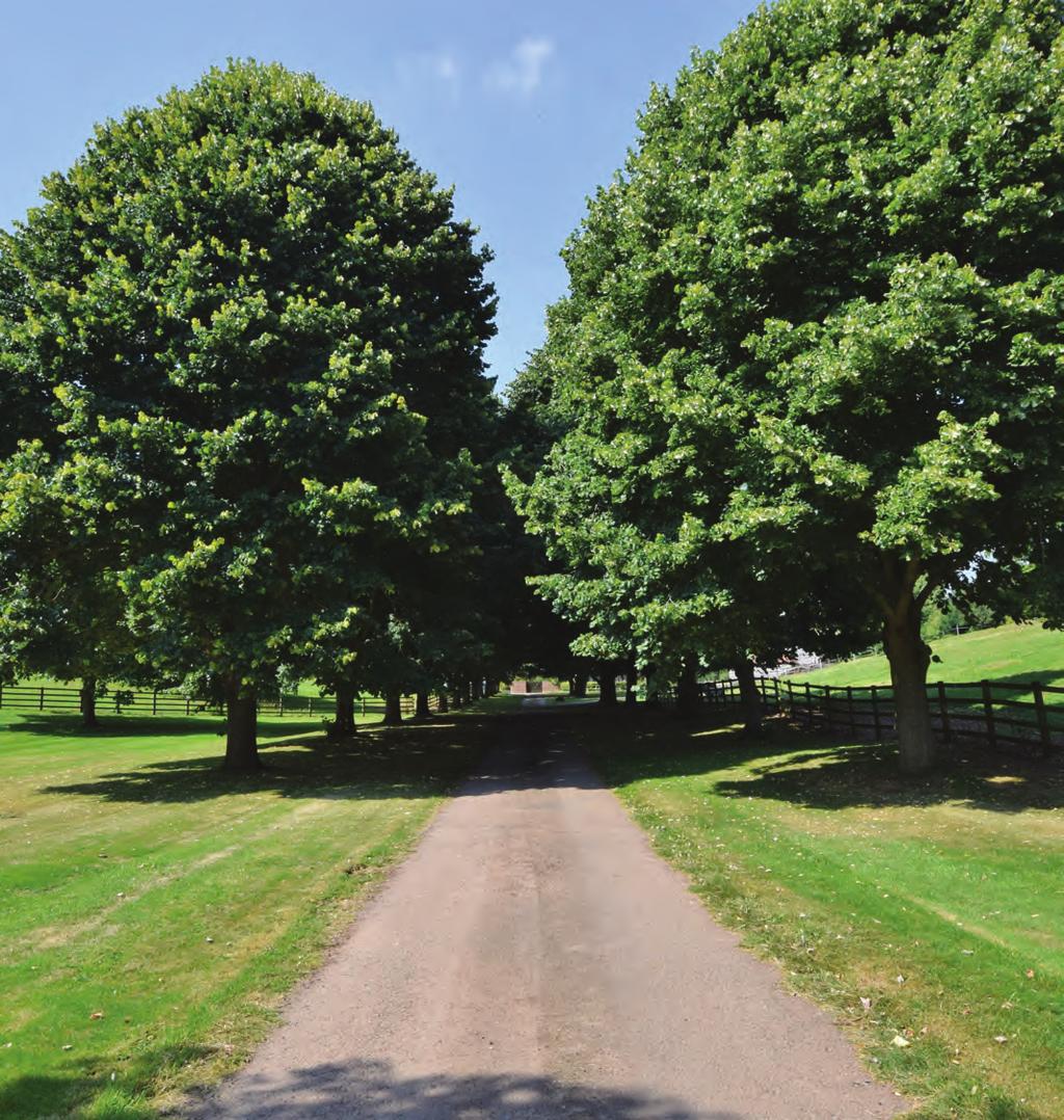 THE LIME AVENUE & FORMAL GARDENS The approach is through a gated entrance onto a long drive, some 200 yards in length, through parkland and an avenue of beautiful mature Lime trees, flanked on either