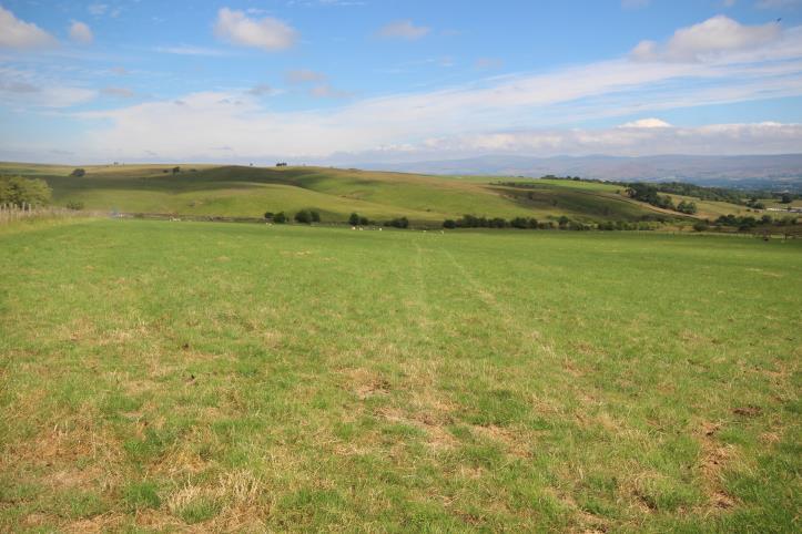 95ha) of excellent cropping and grazing land. The land is currently split into two field enclosures.
