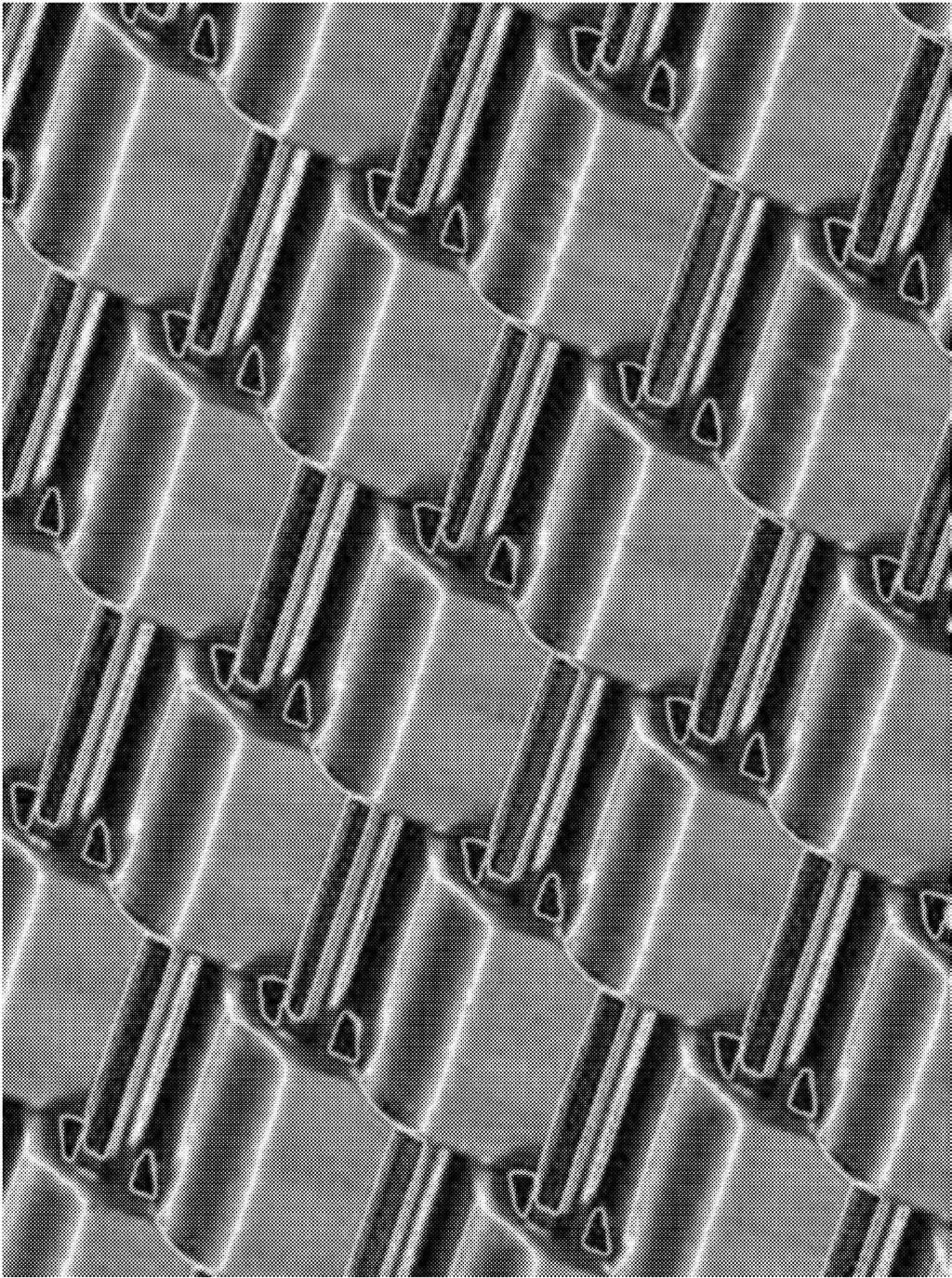 LOT 1 Tauba Auerbach San Francisco, USA 1981 A Flexible Fabric of Inflexible Parts, 2015 Screenprint on metallic Duralar