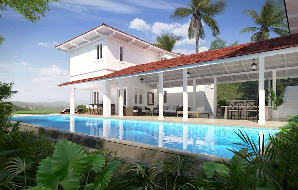 Paddy Villa - Pool view with
