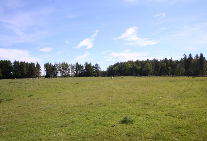 Former Established and young woodlands part of Glassingall Estate. About 212.75 Acres (86.10 Hectares). For Sale as a Whole or in Two Lots.