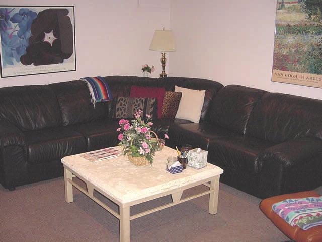 area that can also be used as a recreation room.