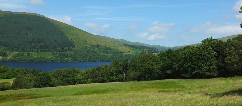 LOCH EARN WOOD 5.86 Hectares / 14.47 Acres A beautiful, ancient deciduous woodland situated on the banks of Loch Earn in the Loch Lomond and Trossachs National Park.