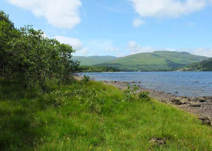 Loch Earn itself is the source of the River Earn, which eventually joins the River Tay through Perthshire.