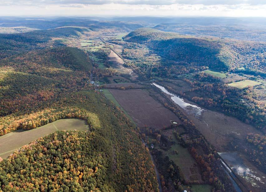 The new addition to Danby State Forest will protect steeply sloping woodlands bordering the Willseyville Valley in the upper right of this photo.