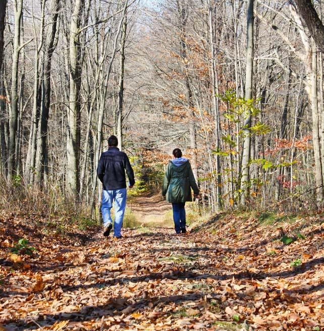 PARTNERSHIP PROJECTS The Land Trust works closely with many partners across the region, including local municipalities and the New York State Department of Environmental Conservation (NYSDEC) to