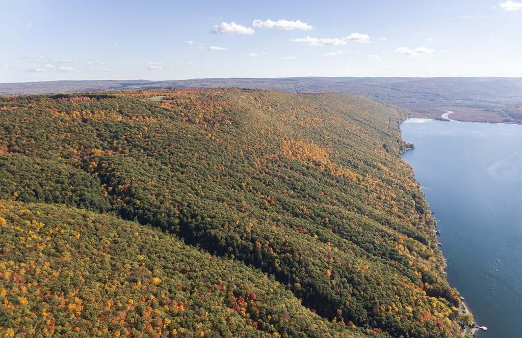 Finger Lakes Land Trust To conserve forever the lands and waters of the Finger Lakes region, ensuring scenic vistas, clean water, local foods,