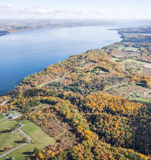 The Land Trust added 15 forested acres with 1,600 feet of frontage on a Cayuga Lake tributary to its VanRiper Conservation Area and adjacent Whitlock Nature Preserve on the western shore of Cayuga