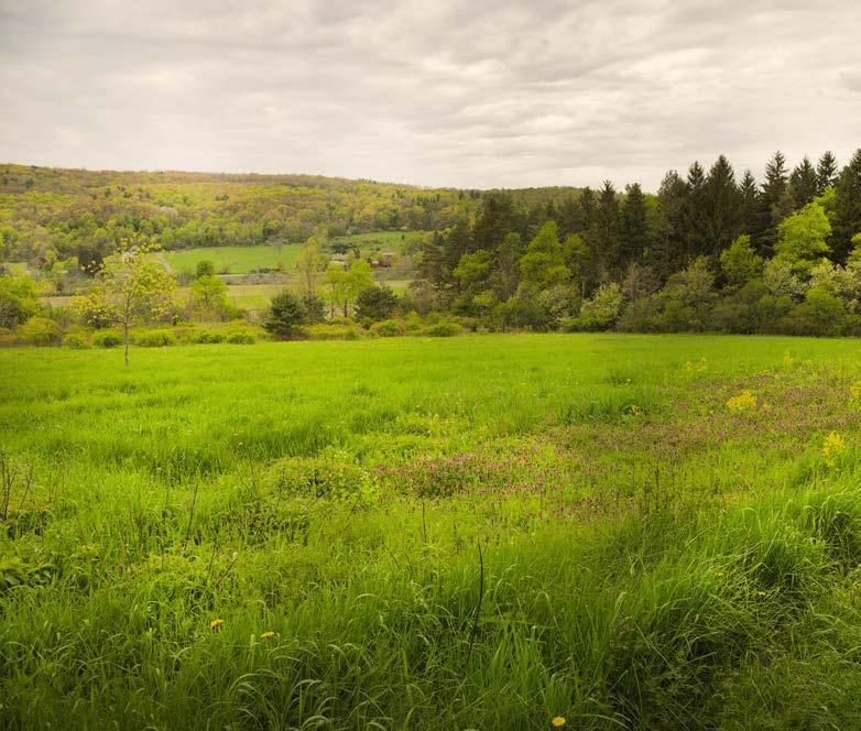 Paige (Schuyler County) This 62-acre easement, donated by Richard Paige, protects frontage on Taughannock Creek, a tributary to Cayuga Lake and the