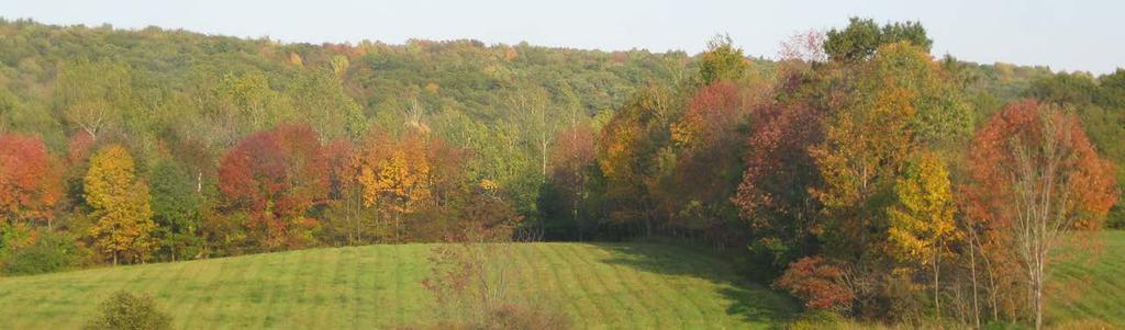 Woldt (Onondaga County) The Land Trust protected 29 acres on the eastern hillside overlooking Skaneateles Lake.