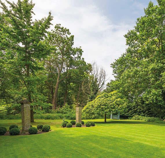 All of the beds are planted with extensive perennial shrubs and bushes, interspersed with some large mature specimen trees including