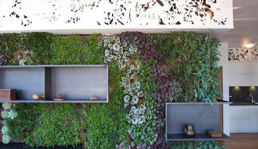 An automatically irrigated living wall grows a range of ferns from the forest floor.