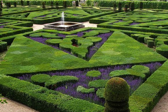 4 distinctive gardens can be made, namely: