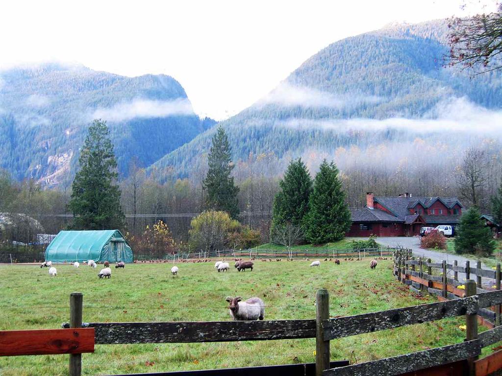 C8016596 Agri-Business 12825 SQUAMISH VALLEY ROAD Squamish $3,680,000 (LP) Upper Squamish V0N 1H0 Just 15 minutes from Squamish, this is a 42 acre farm, operated as a livestock farm previously, as