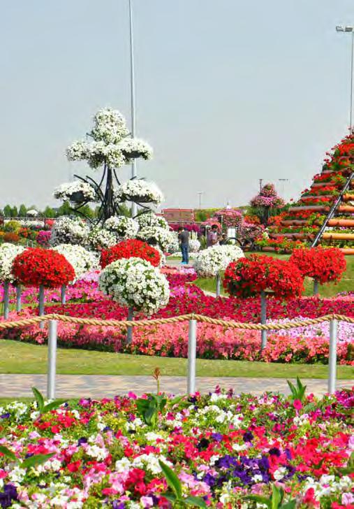 DUBAILAND is a unique multi-faceted district of sporting, entertainment, and retail attractions sitting alongside growing residential communities.