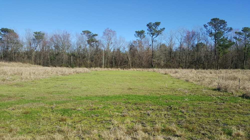 OVERVIEW: 24.5 +/- acres of beautiful land.