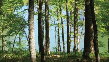 52 acres on Alpine Lake Gentle Slope to Private