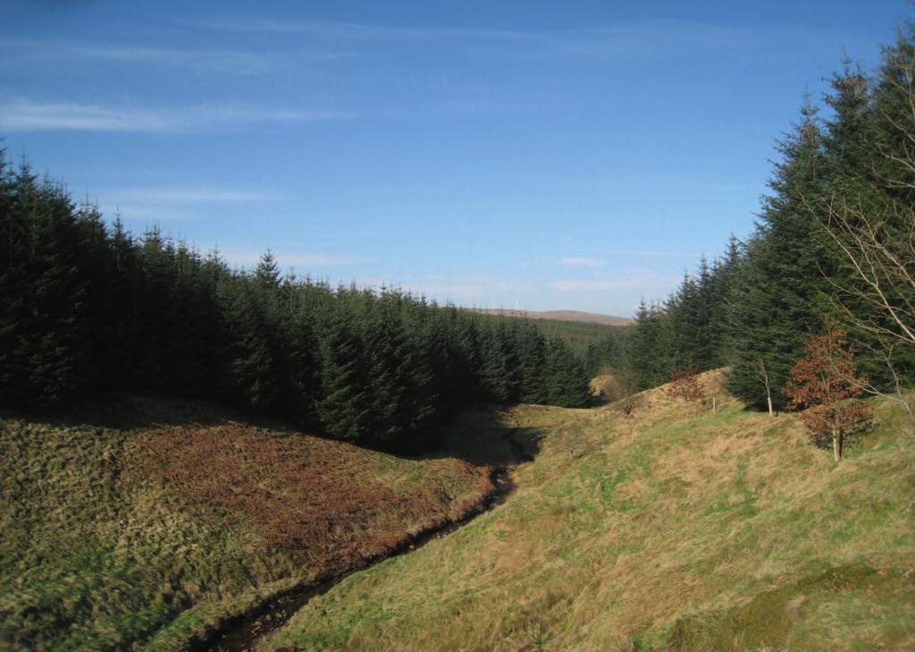 CARMACOUP FOREST Glespin, South Lanarkshire 310.50 Hectares / 767.