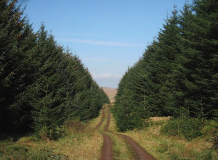 VAT is charged on forestry work and timber sales, although its effect is neutral if managed as a business.