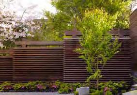 d. Trees are a key element in the landscape design and TH and RH units may be required to include trees in the landscape plan. e. Retaining existing trees within the building envelope is strongly encouraged.