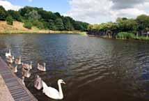 Situated on the edge of the historic salt mining town of Northwich with its tranquil canal and famous Anderton Boat Lift, the development on leafy Winnington Lane