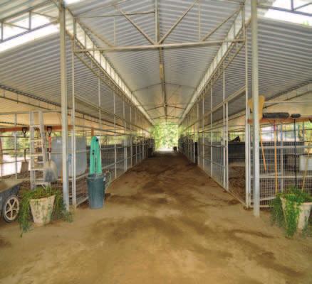 Additional Facility Features The outstanding turn-key horse facility includes a 21,472±