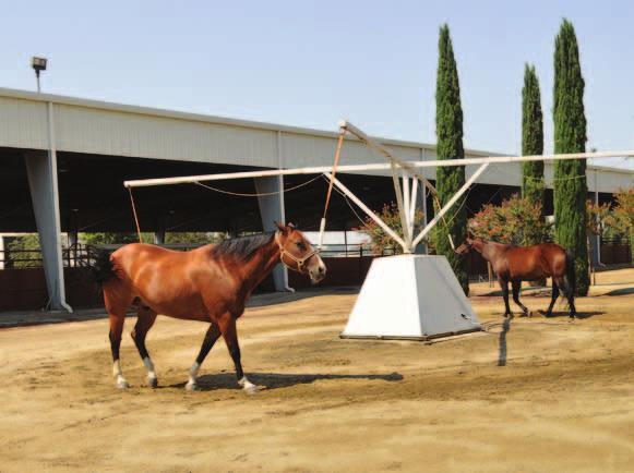 saddling/work area, 2 wash racks, an office, tack room, a feed/vet room and a utility