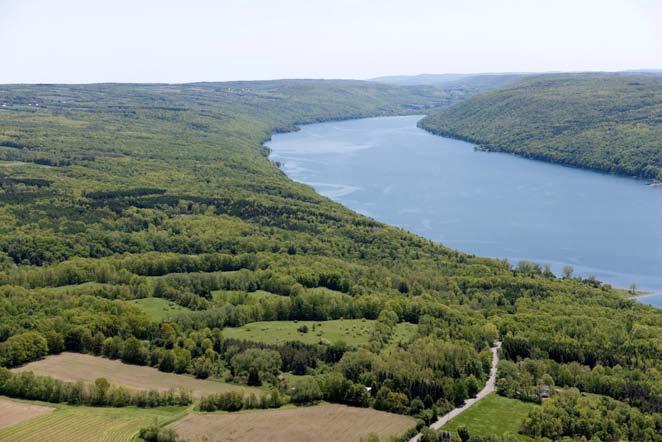 Conserving special places The Finger Lakes Land Trust protected more than 1,100 acres of the region s most beloved lands during the last fiscal year.