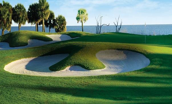 In addition to all of the vacation features and benefits, our guests will enjoy special Palmetto Dunes Resort