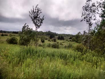 5 acre parcel of land on snowmobile & ATV  Close to Soft Maple Reservoir.
