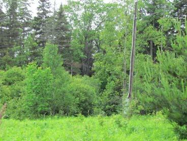 Property accessed by 25 deeded right of way 174 ACRES on BLACK RIVER Home with Detached 4-Car