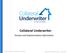 Collateral Underwriter. Preview and Implementation Information