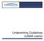 Underwriting Guidelines (USDA Loans)