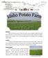 Summary: Location: Property Details: Potato Crop in Pivot 1 Field