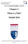 Chapter 1: What is a Title? Sample Quiz