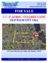 FOR SALE +/-.17 ACRES / CLEARED LAND OLD PALM CITY CRA SW 29th Terrace, Palm City, Florida 34990