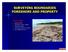 SURVEYING BOUNDARIES FORESHORE AND PROPERTY OUTLINE DEFINITIONS JURISDICTIONAL ISSUES TENURE ISSUES PRACTICAL SURVEY ISSUES RECOMMENDATIONS
