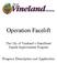 Operation Facelift. The City of Vineland s MainStreet Façade Improvement Program. Program Description and Application
