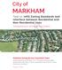MARKHAM. Task 12: Infill Zoning Standards and Interface between Residential and Non-Residential Uses. Draft. Comprehensive Zoning By-law Project