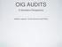 OIG AUDITS. A Grantee s Perspective. Heather Lagrone, Texas General Land Office