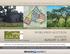 BUILD YOUR OWN CUSTOM ESTATE HOME DEVELOPMENT OPPORTUNITY UNTOUCHED AND PRISTINE